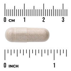 Hormone Essentials