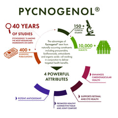 Pycnogenol - Super Strength