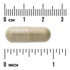 Full Spectrum Oregano