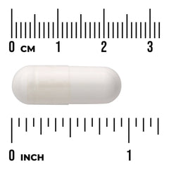 Chondroitin Sulfate