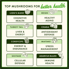 Agaricus Blazei Mushroom Extract