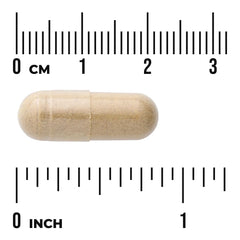 Milk Thistle - Features 80% Silymarin