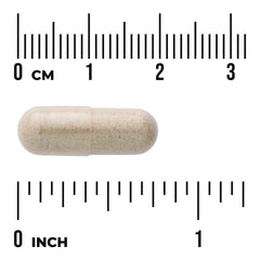 Pepsin & Okra