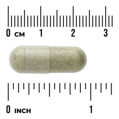 Neem Leaf