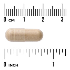 Green Coffee Bean Extract - Featuring Svetol