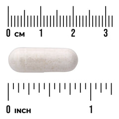 Betaine HCl Hydrochloric Acid with VegPeptase