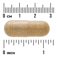 Chinese Skullcap